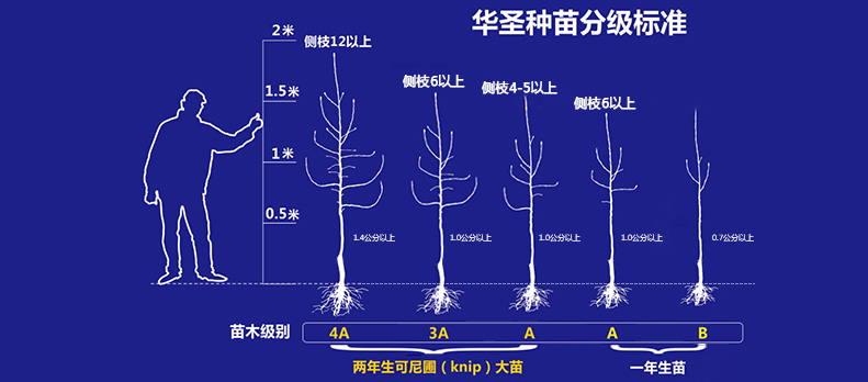 澳门六门之家