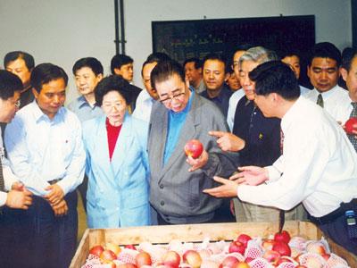 澳门六门之家